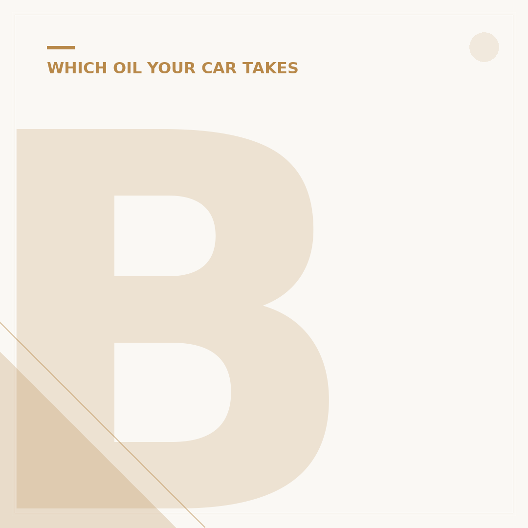 BMW 1 Series Oil Type: What You Need to Know