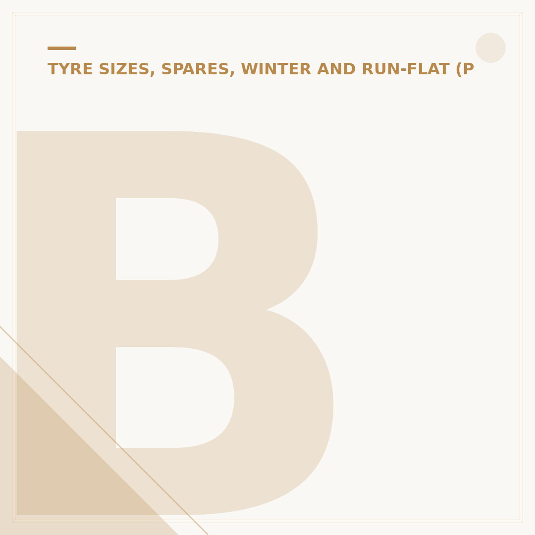 BMW 1 Series Tyre Size Explained