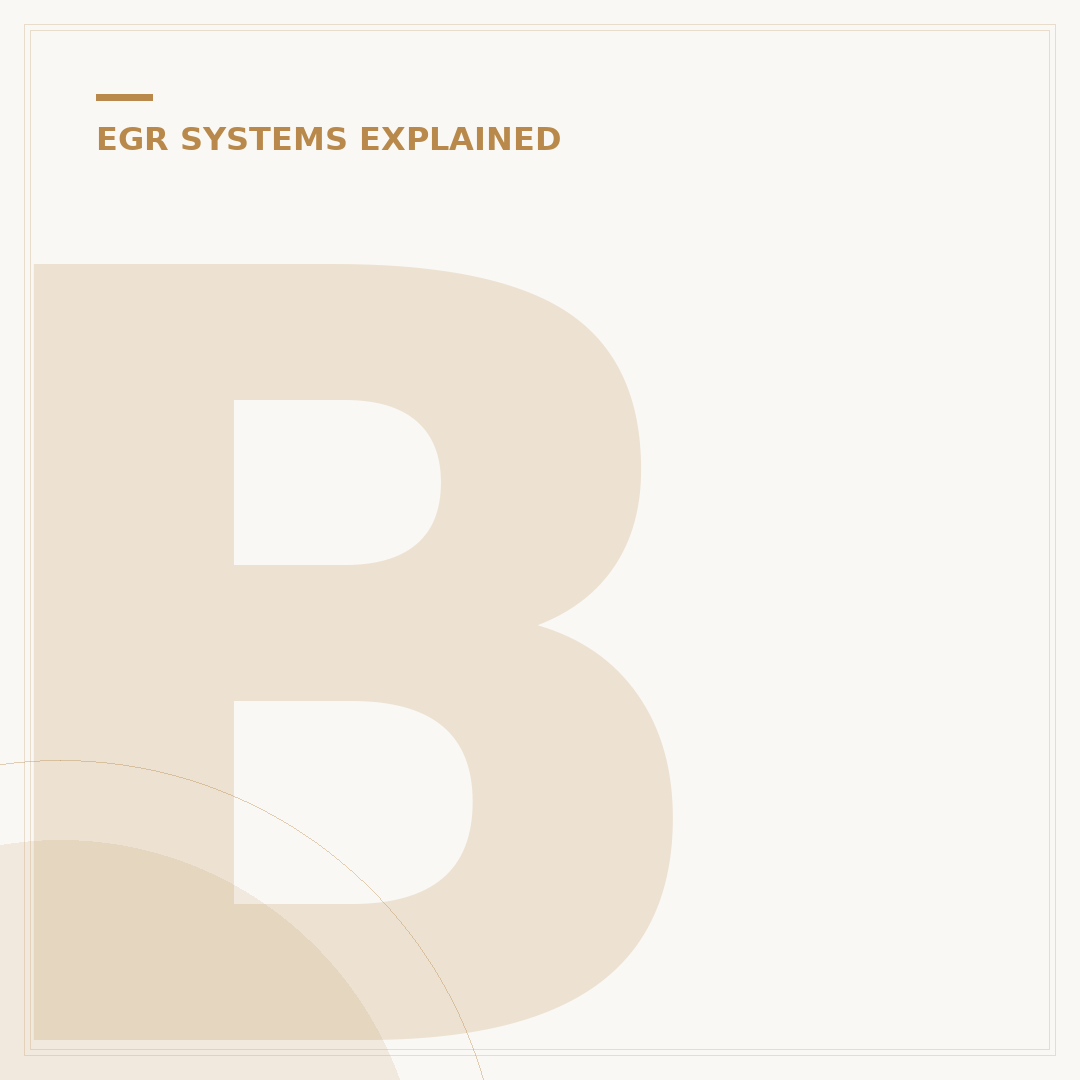 BMW EGR System: What It Is and How to Clean It