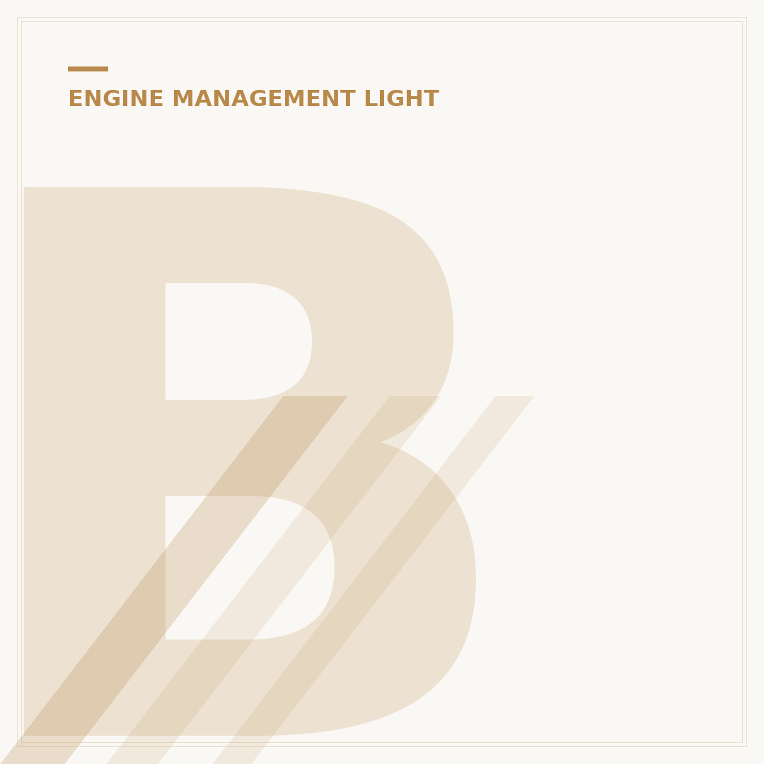 BMW Engine Management Light Explained