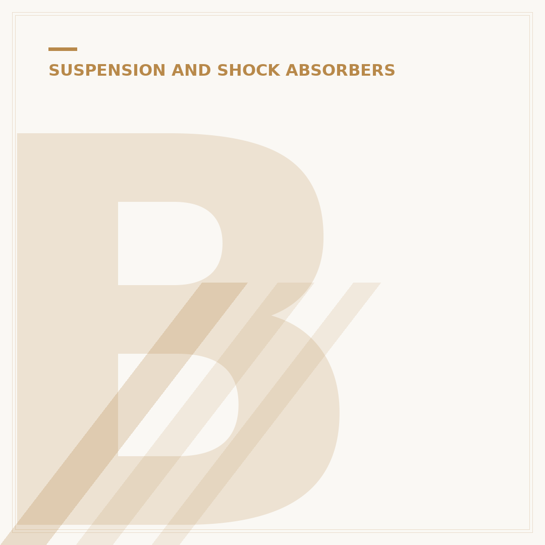 BMW Shock Absorber