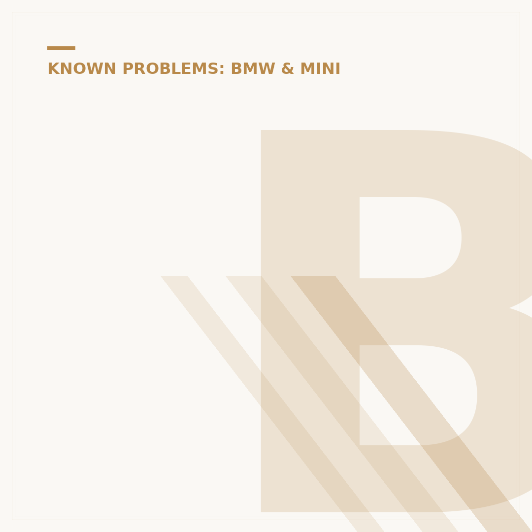 BMW X1 2014 Diesel: Common Problems & What to Check
