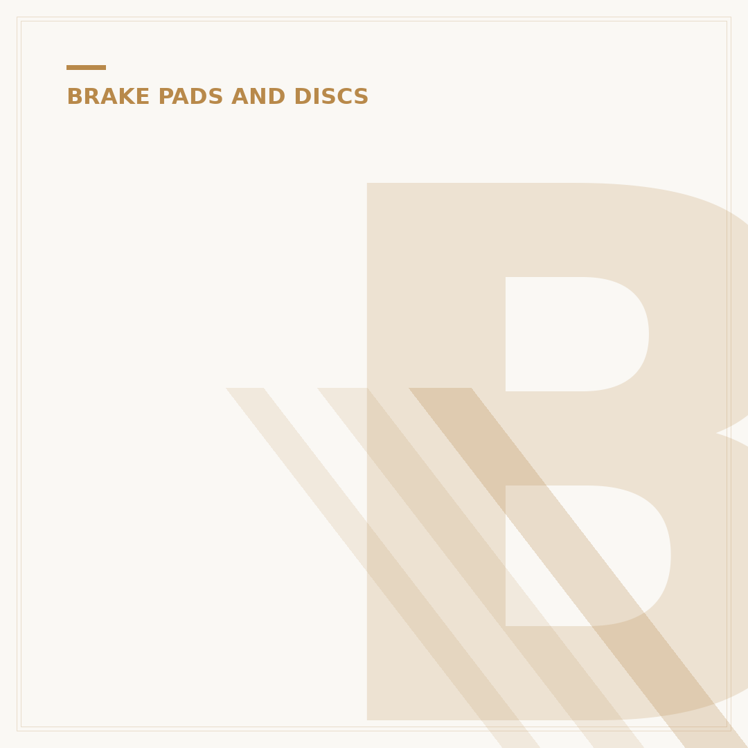 Brake Discs and Pads Set
