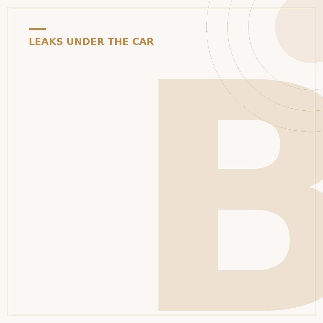 Brake Oil Leak