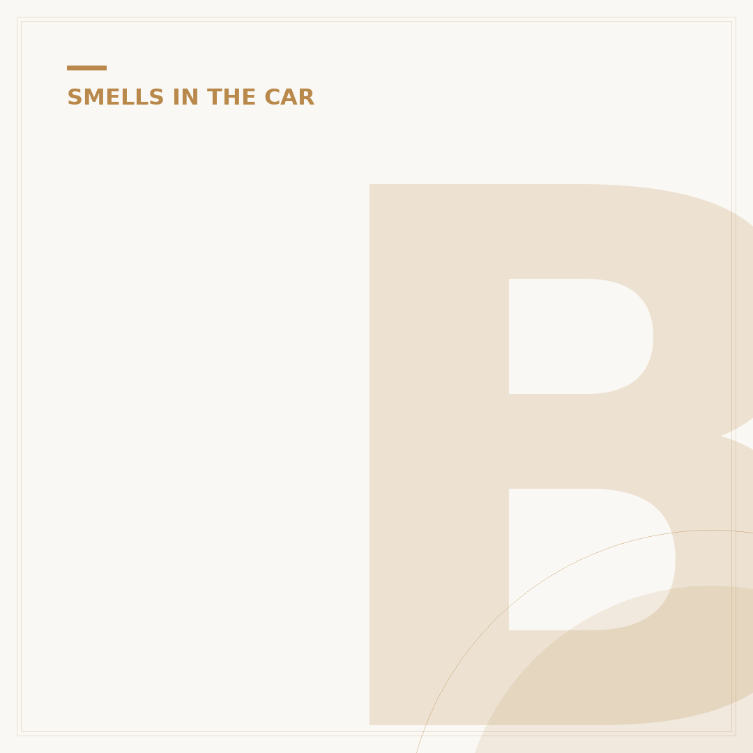 Burnt Smell Inside Car: Causes and What to Do