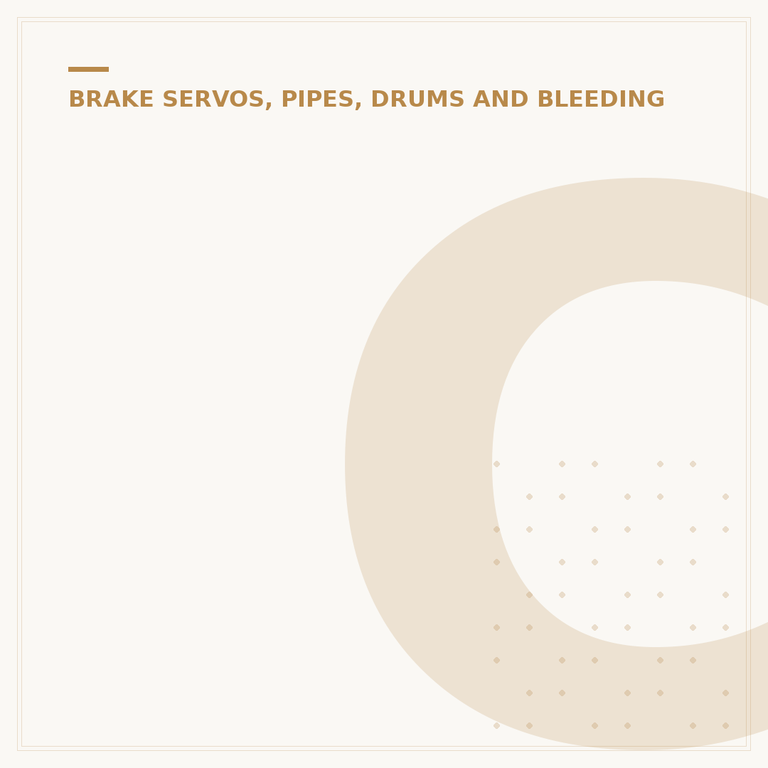 Car Brakes Squealing: Causes and Solutions