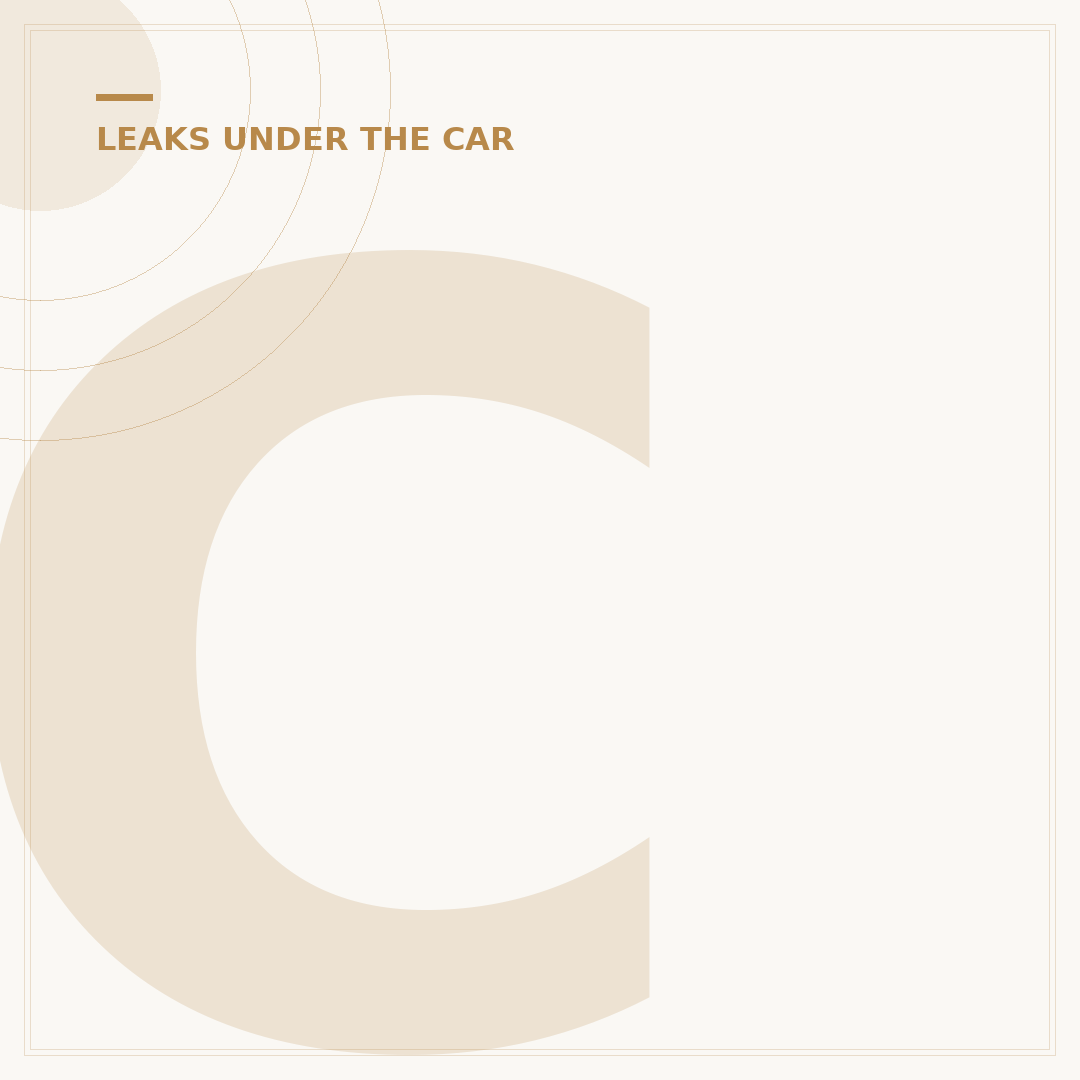 Car Leaking Water: Causes and What to Check