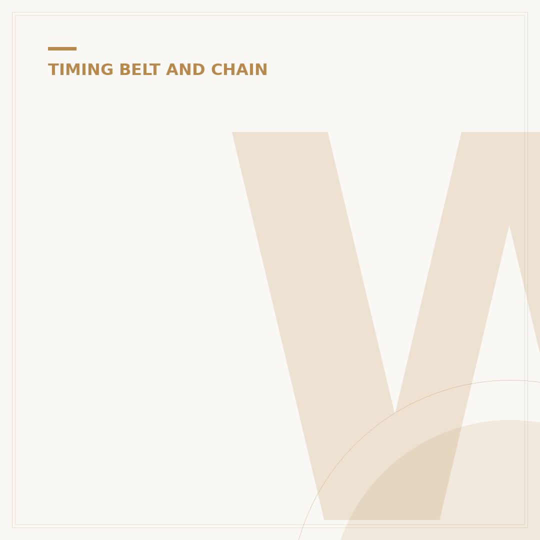 Which Cars Have a Wet Belt Timing System?