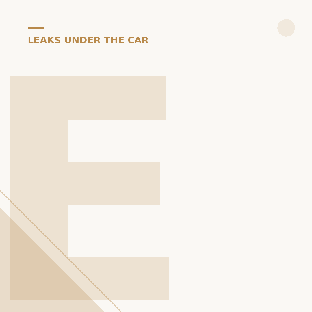 Engine Oil Leaks: Common Causes and What to Check