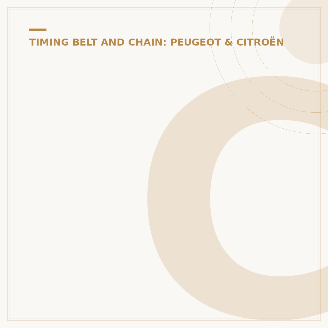 Citroen Berlingo Timing Belt: What You Need to Know
