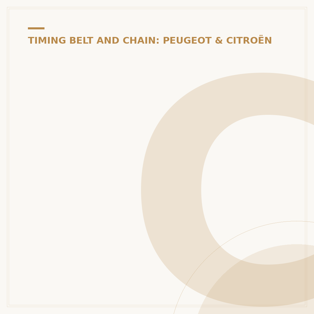 Citroën C3 Timing Belt: When to Replace & Costs