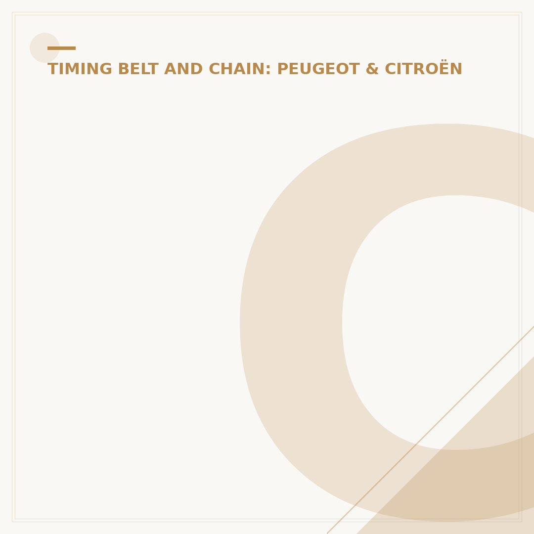 Citroën Wet Belt: What You Need to Know