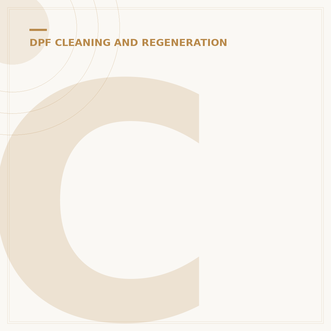 Cleaning DPF: Avoid Costly Mistakes