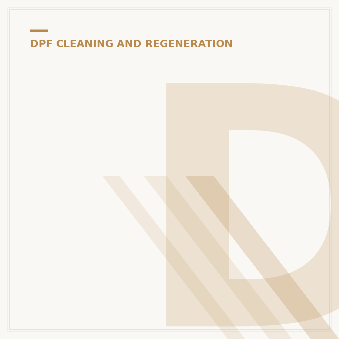 DPF Clean Team