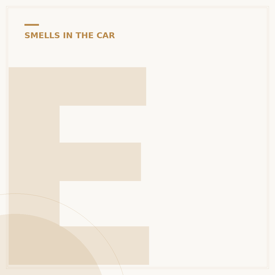 Eggy Smell in Car: What It Means and How to Fix It