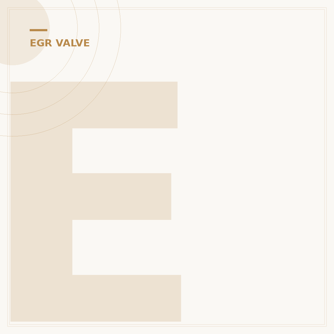 EGR Valve Diesel: What It Is and How It Works