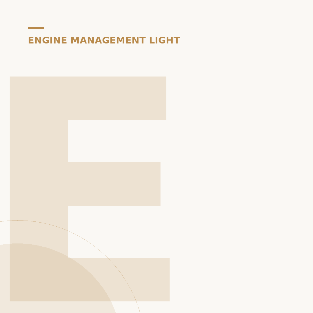 Engine Management Light: What It Means and What to Do