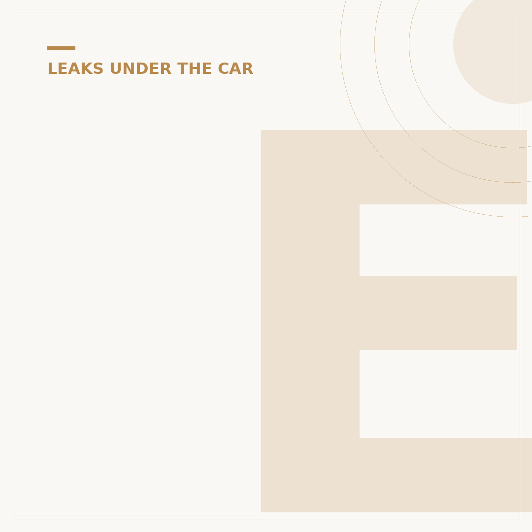Engine Oil Leak Locations: Where to Check Your Car