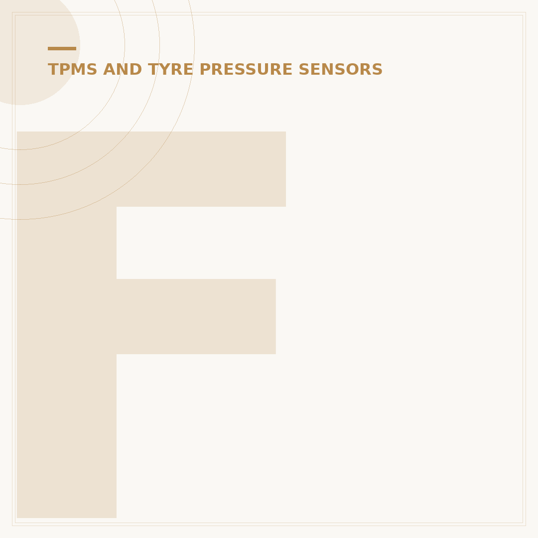 Fiat 500 TPMS Reset: Avoid Warning Light Issues