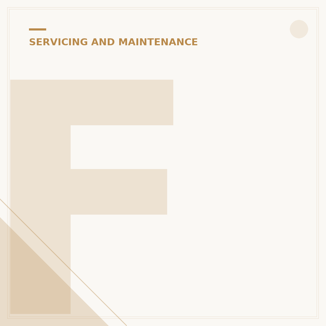 Ford Fiesta Service Reset