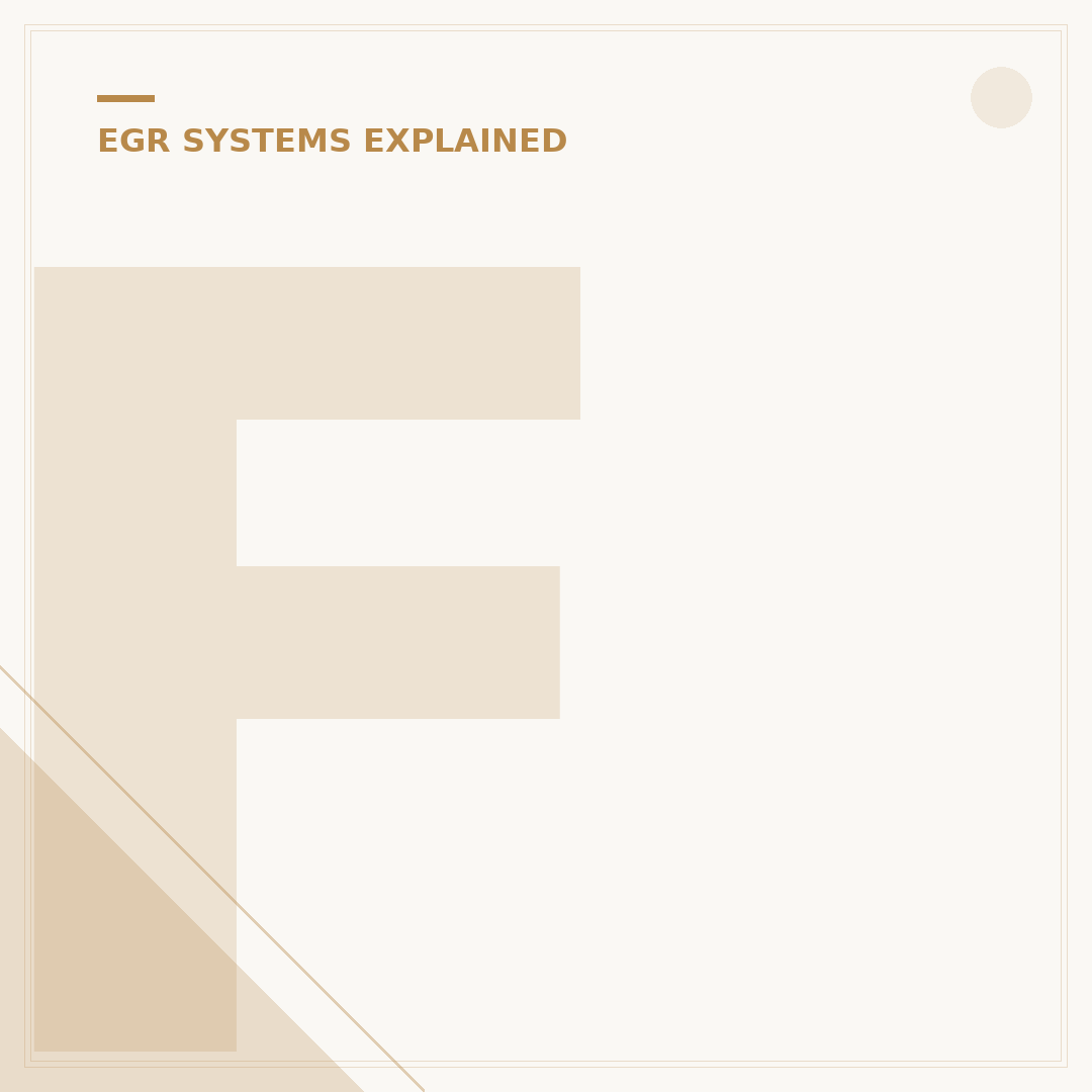 Ford Transit EGR: Common Issues & Cleaning