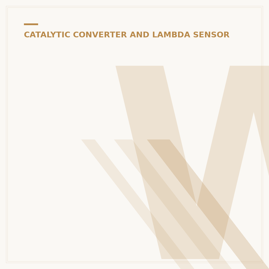 What is the Function of a Catalytic Converter?