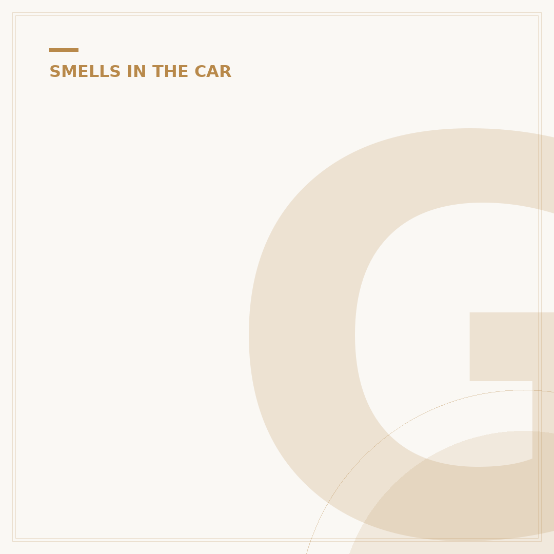 Gasoline Smell In Car: What To Check Now