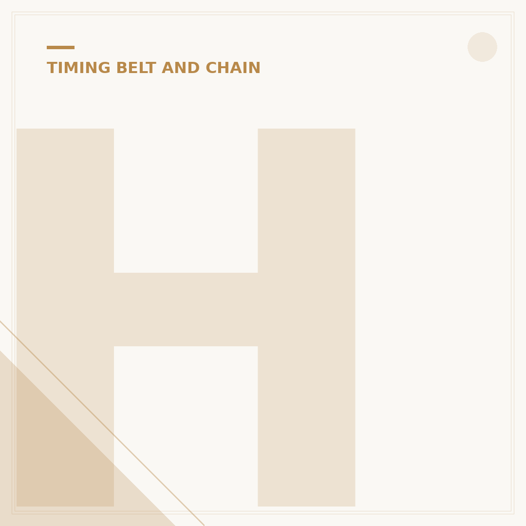 How Often Does a Wet Belt Need Changing?