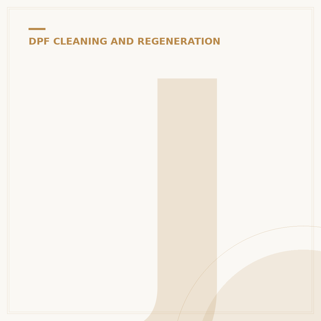 JLM Diesel DPF Cleaner: Maintain Your Filter