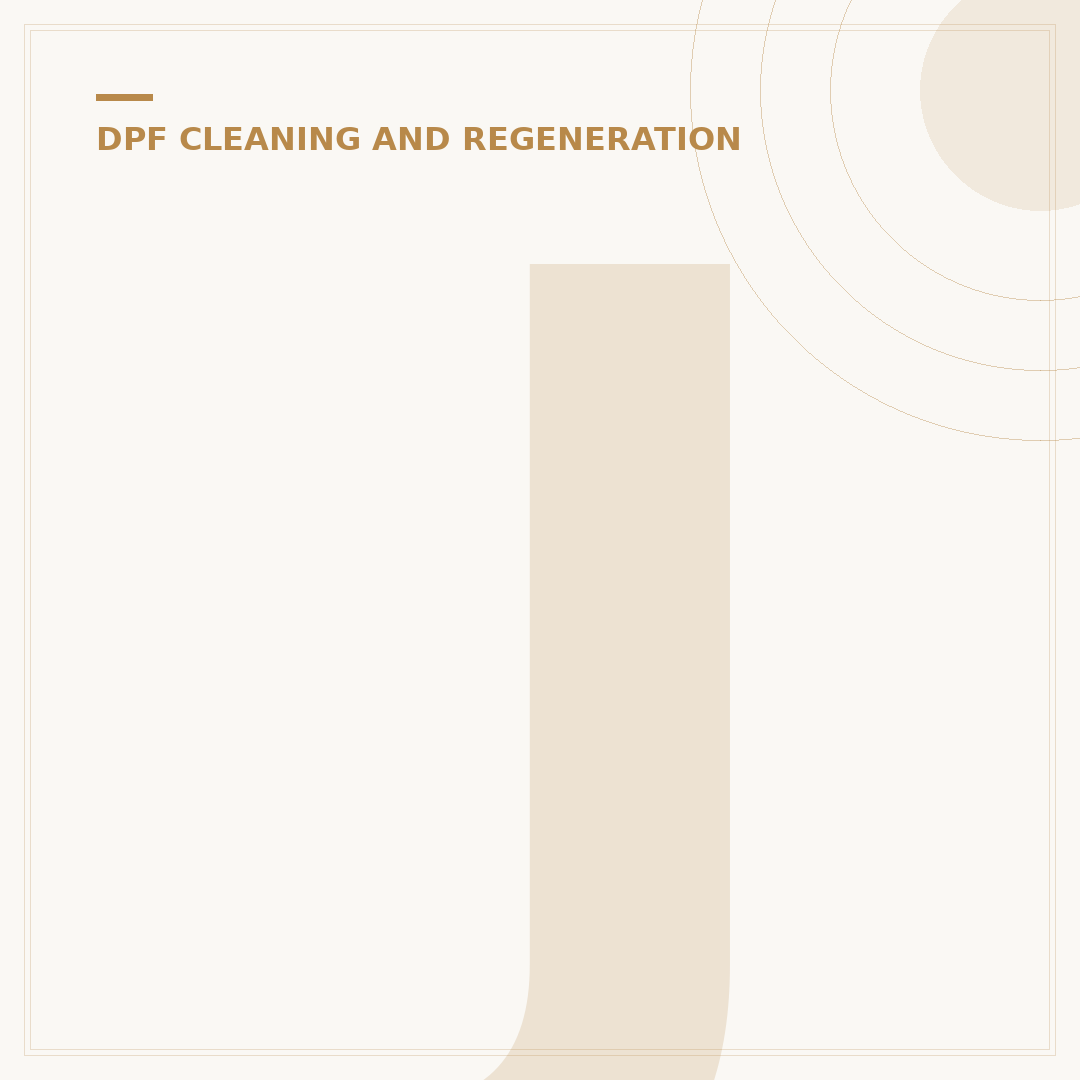 JLM Diesel Particulate Filter Cleaner: Keep Your DPF Clear