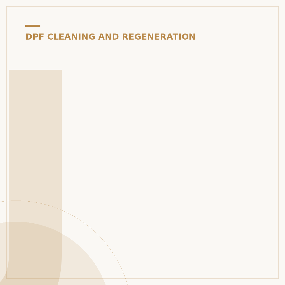 JLM DPF Cleaning: Common Errors and Solutions
