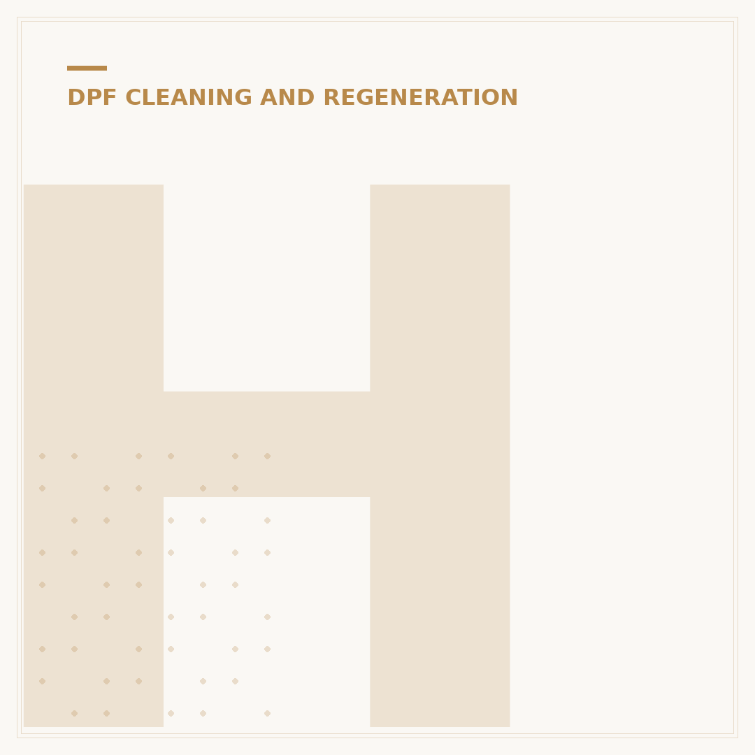 How to Launch a DPF Cleaner