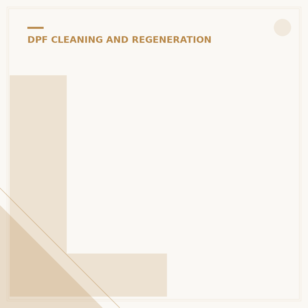 Launch DPF Cleaning