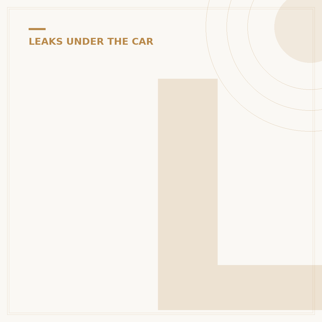 Leaking Gas in Car: What to Check and Do