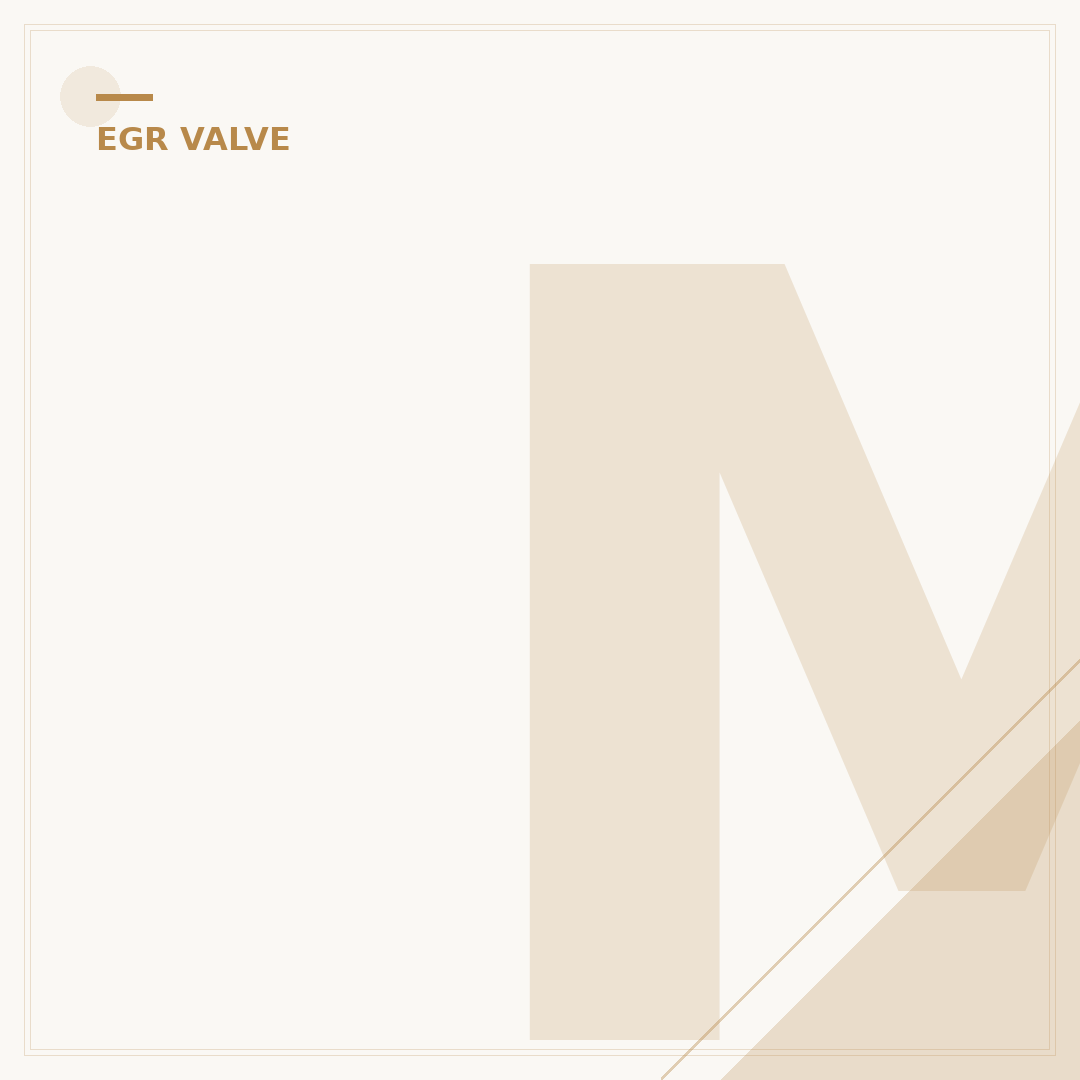 Meaning of an EGR Valve