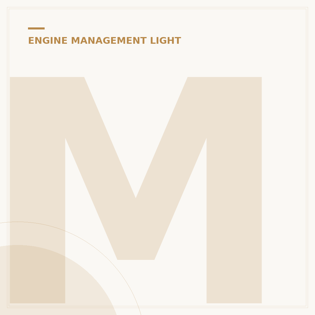 Mercedes Benz Engine Management Light Explained