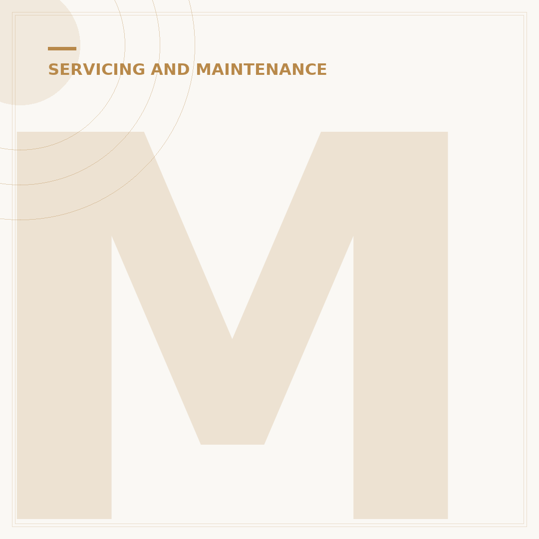 Mini Cooper Service Intervals Explained