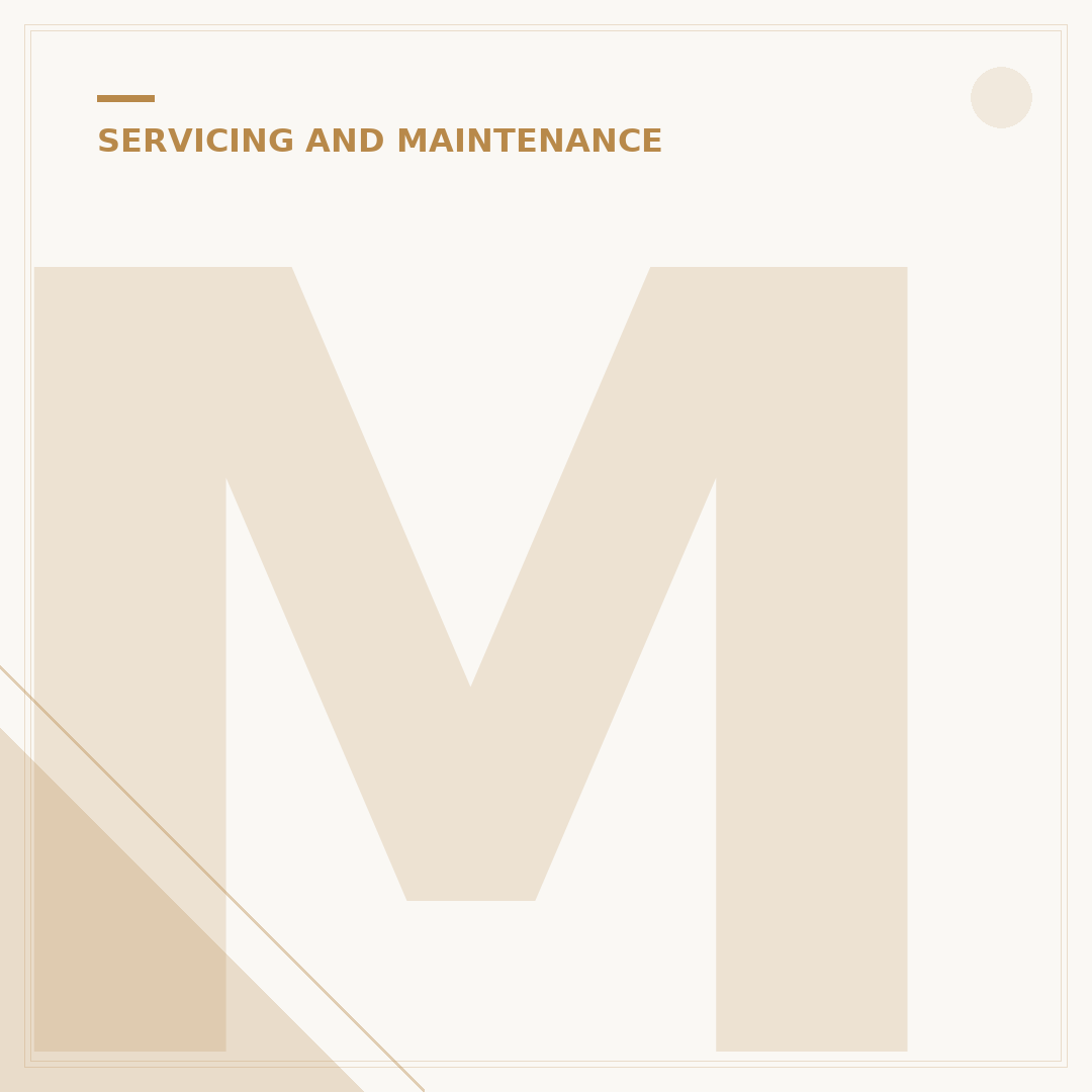 Mini Service Intervals Explained