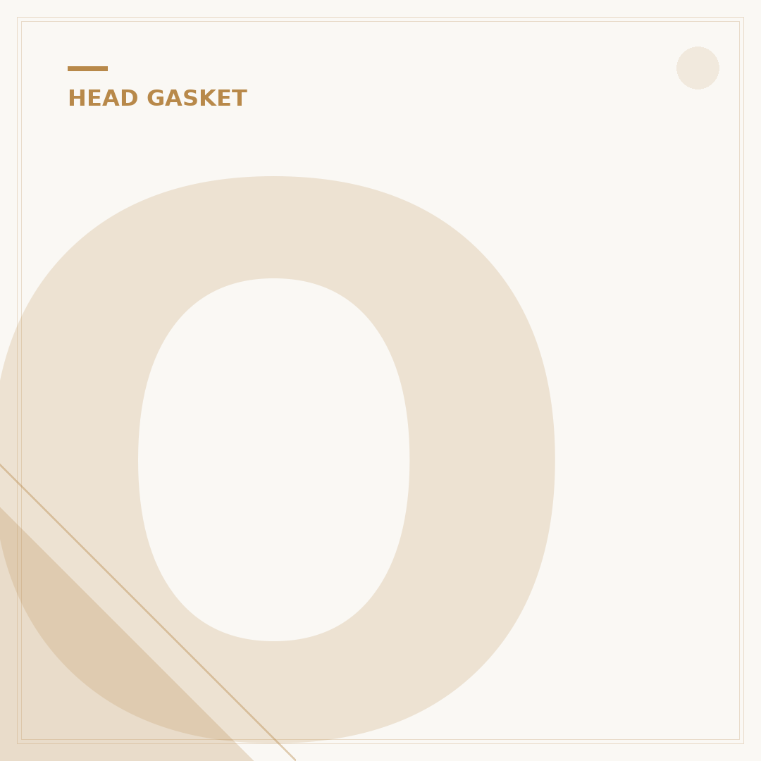 Oil Leak on Head Gasket: Symptoms and Checks