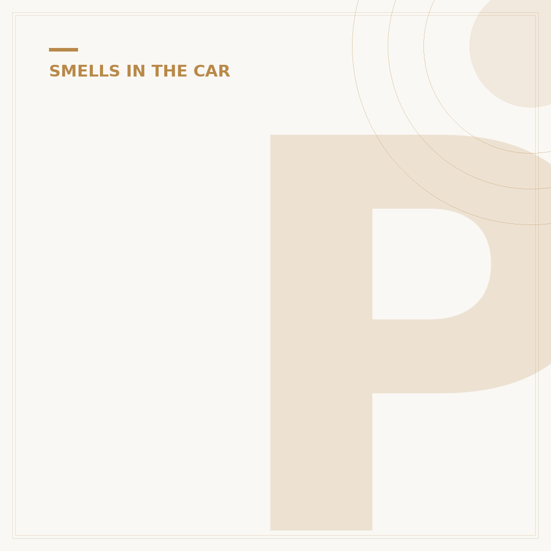 Petrol Smell Inside Car: Causes and Fixes
