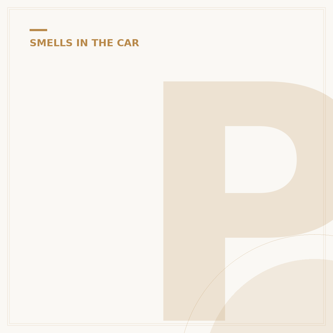 Petrol Smell in Car: Causes and Solutions
