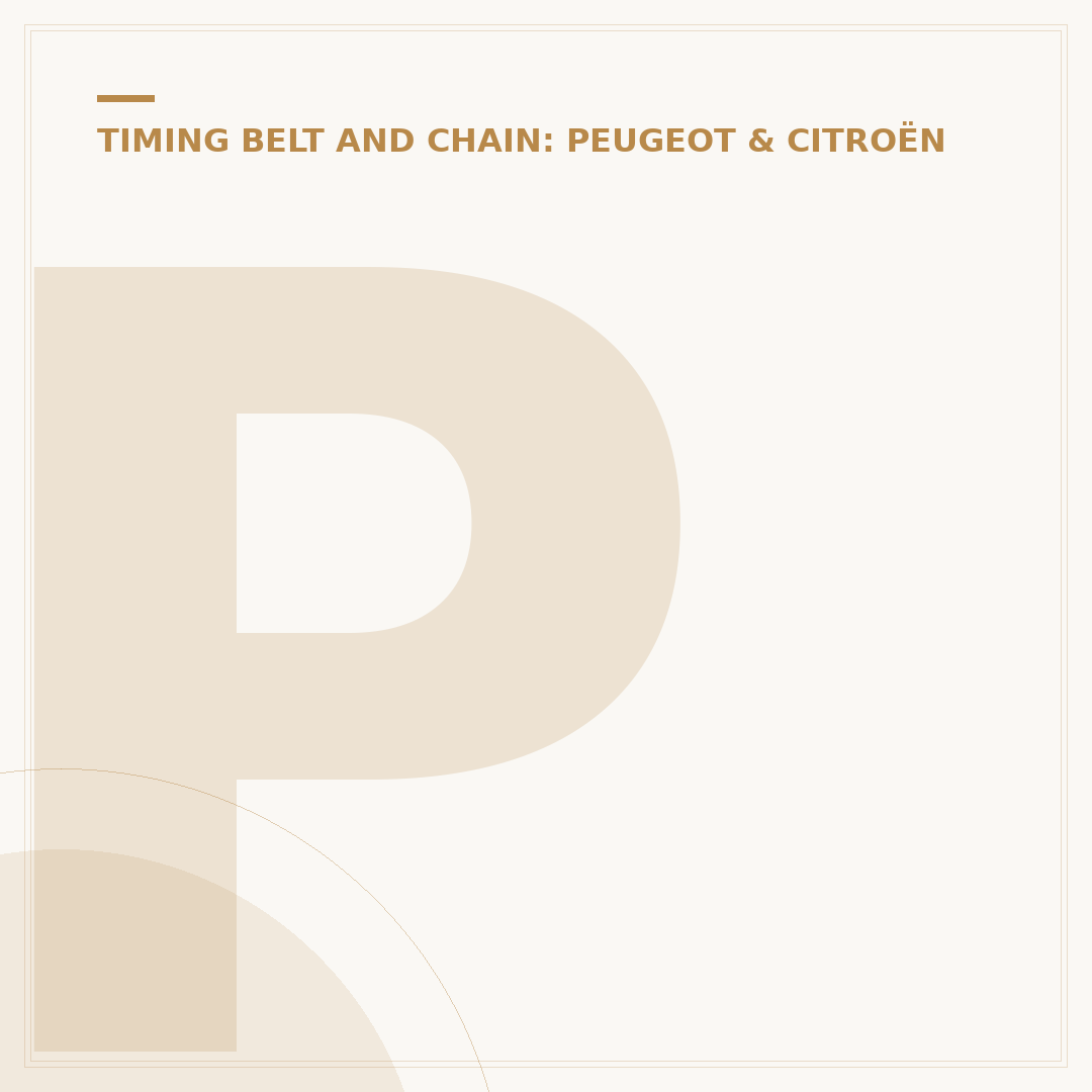 Peugeot 208 Wet Belt: Service & Replacement Explained