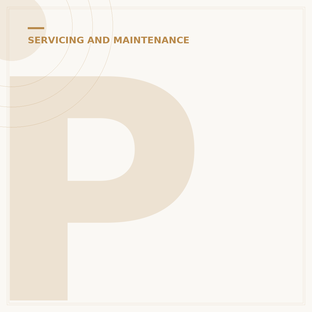 Peugeot Service Schedule: What Your Car Needs