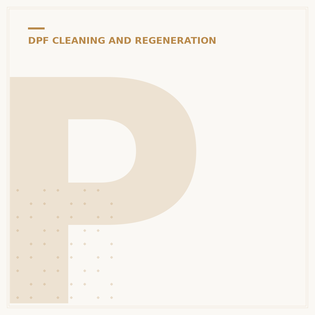 Professional DPF Cleaning