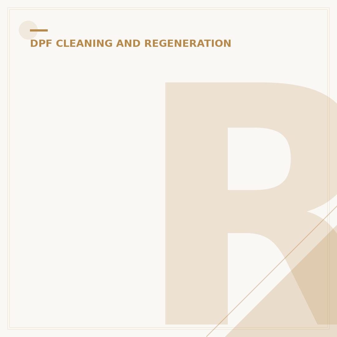 Remove DPF and Remap: What You Need to Know