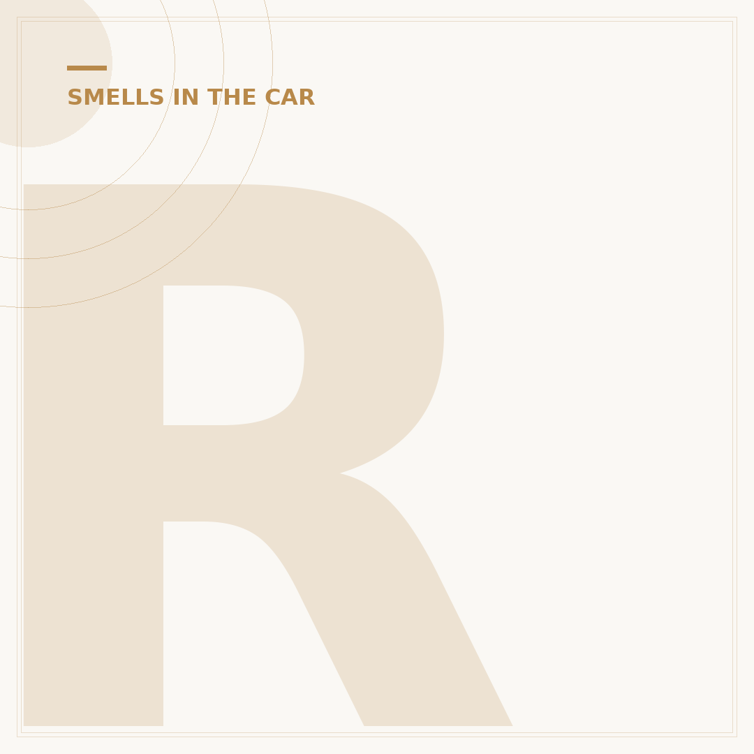 Rotten Egg Smell Inside Car