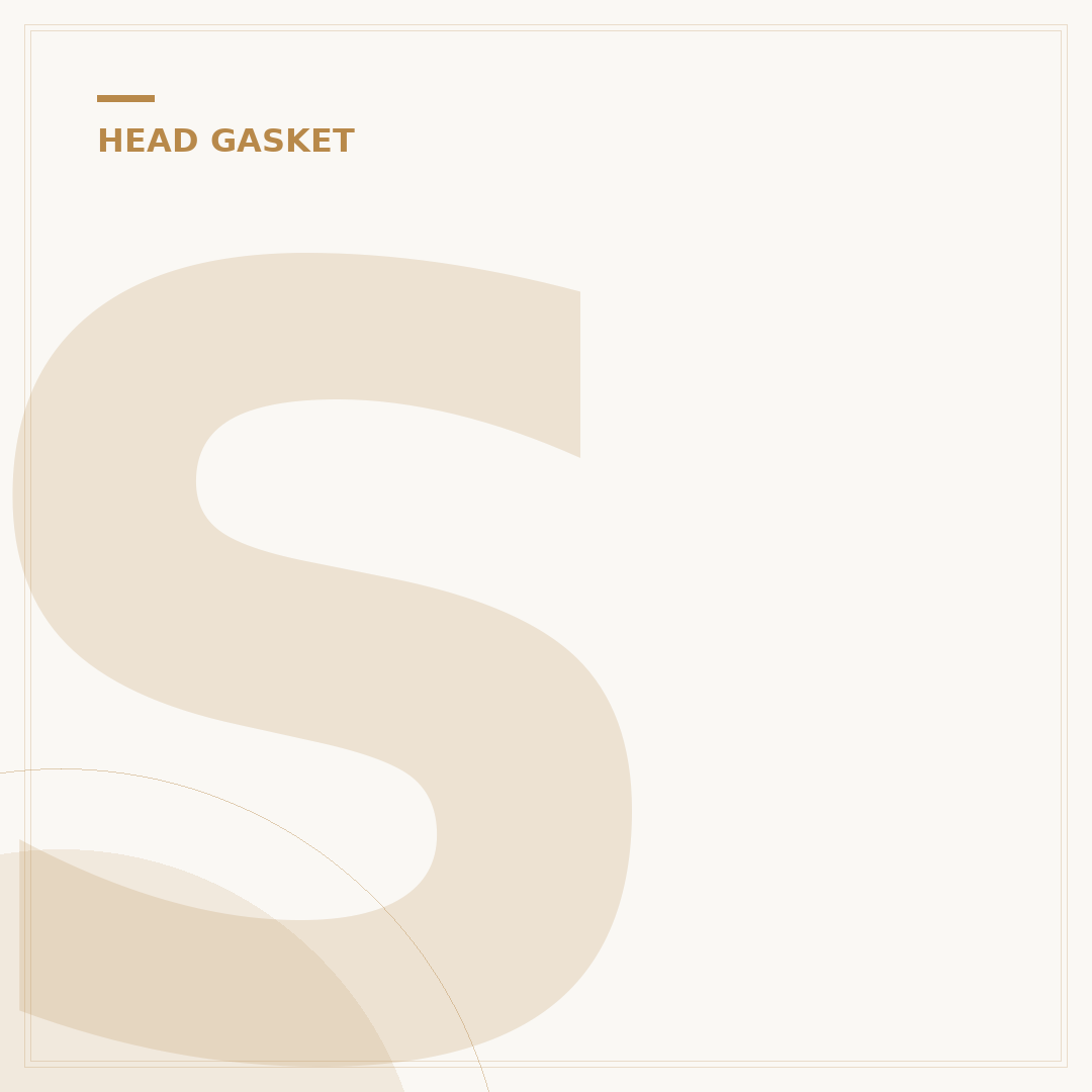 Signs of Head Gasket Leak: What to Look For