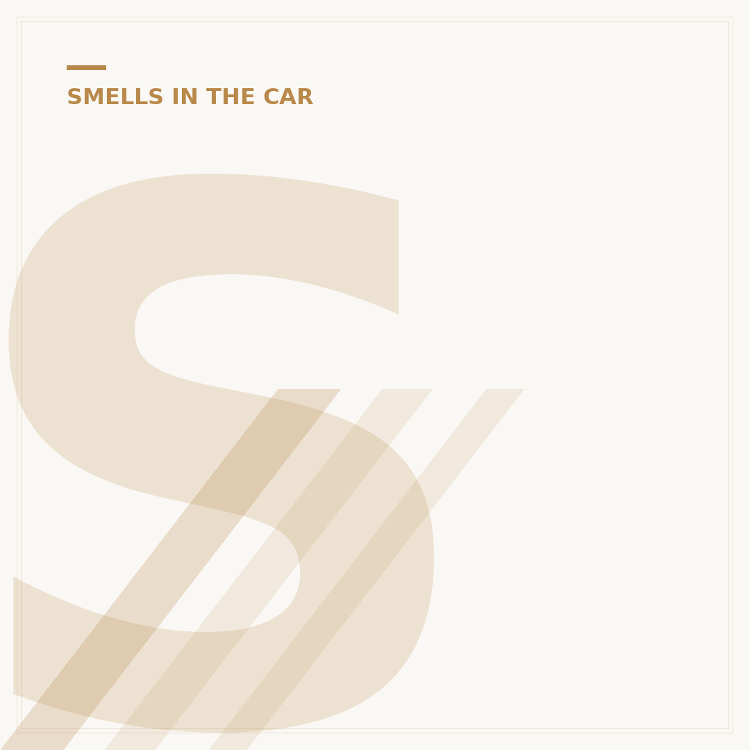 Sulphur Smell in Car: Causes and What to Check