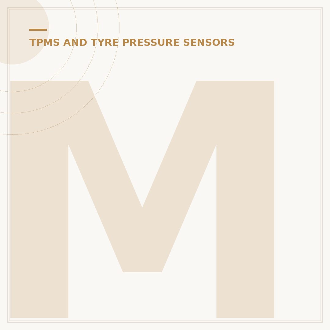 MG ZS TPMS Fault: What the Warning Light Means