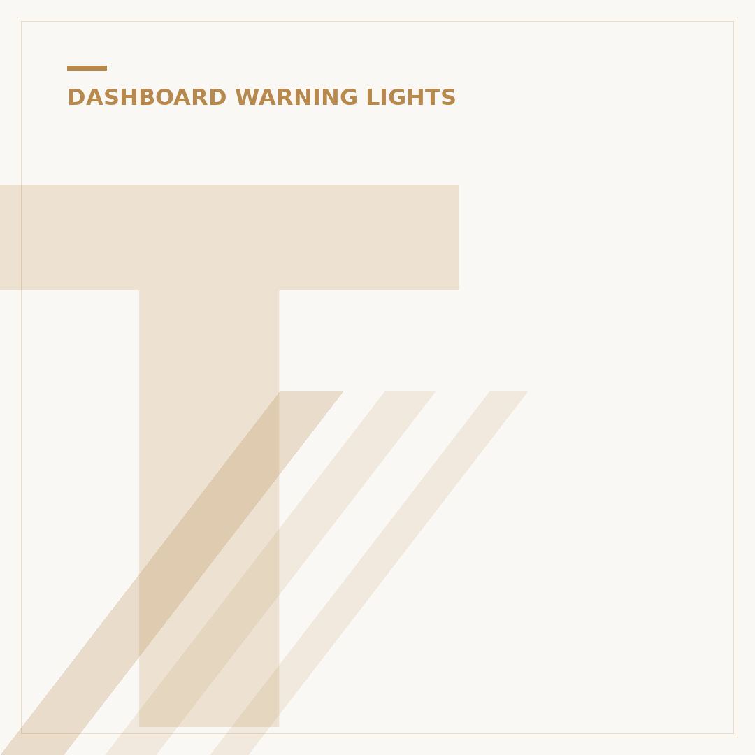 Traction Control Warning Light: What It Means